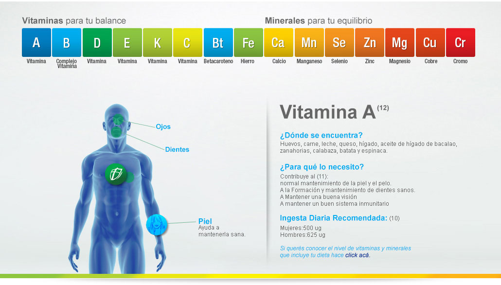 Sección interna de la web